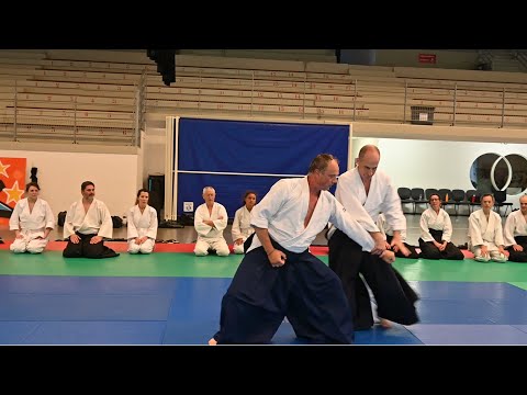 Aïkido :  Forges Les Eaux 18 juin 2023 : Brice Guiader 5ème Dan Jiyu Waza sur tsuki (2ème partie)