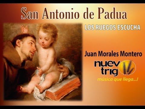 Cancion San Antonio De Padua Juan Morales Montero Nuevotrigo