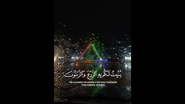 ياسر الدوسري سورة النحل هُوَ الَّذِي أَنزَلَ مِنَ السَّمَاءِ مَاءً