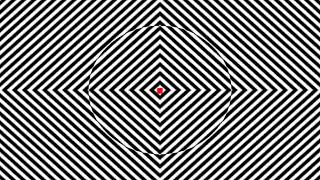 OPTICAL ILLUSIONS THAT WARP REALITY