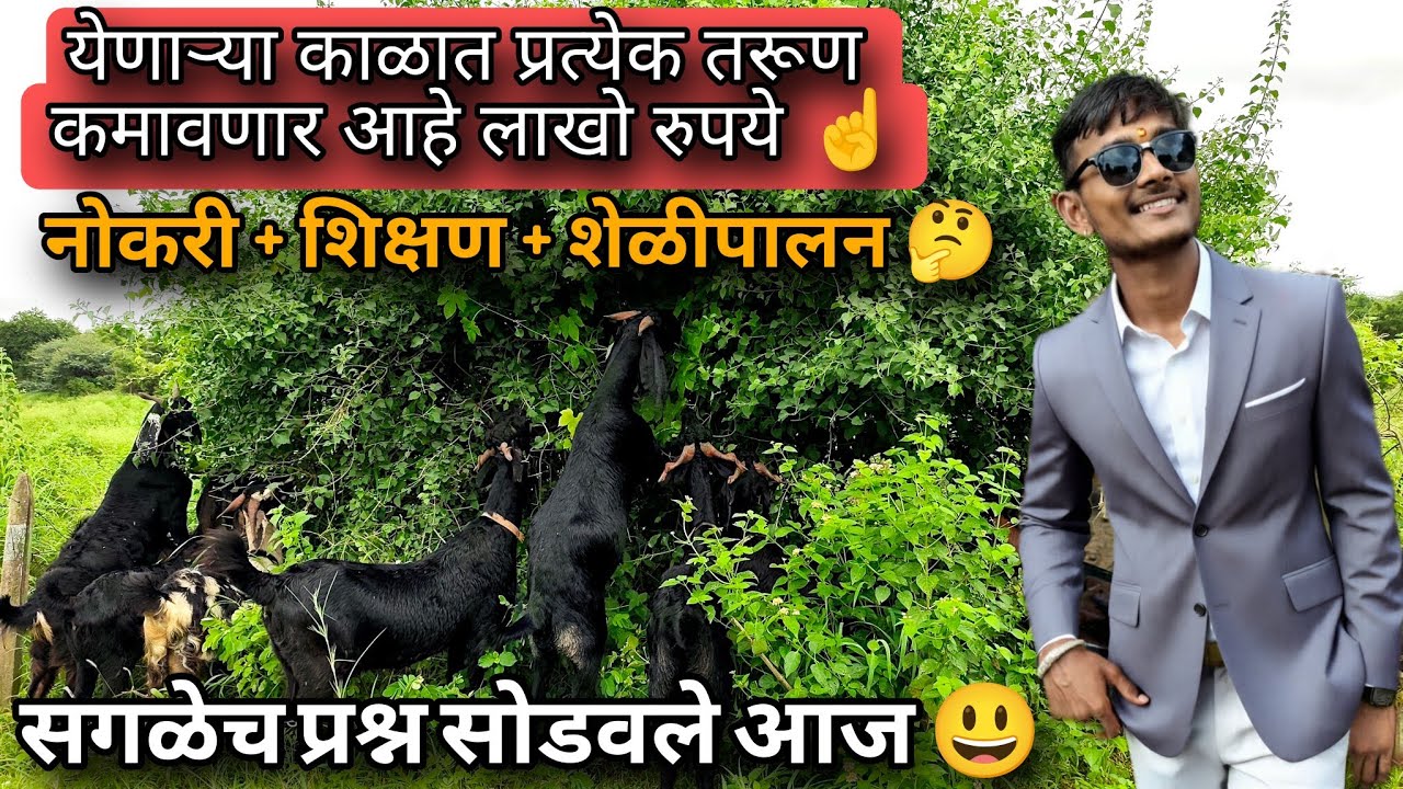 शेळीपालनाच्या धंद्यातुन लाखो रूपये कमावणार तरूण 😃 मी कमावतोय तुम्ही पण कमवा 😃🤟