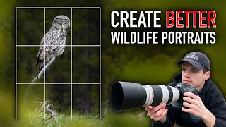 6 Composition Tips for Better Wildlife Portraits screenshot 4