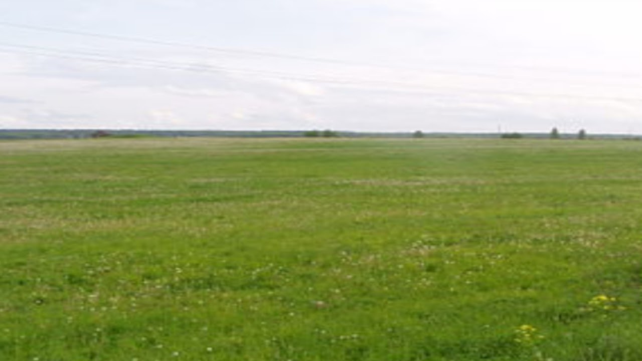 Бравл Старс