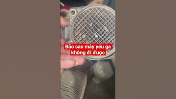 Chuột bọ thế này thì chết !!!