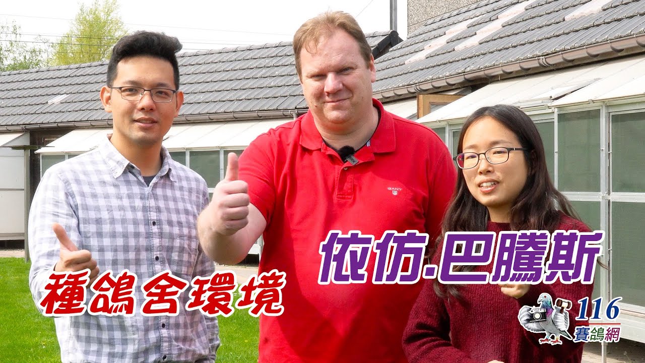 【配對環境】專業種鴿舍設計分享-依仿.巴騰斯丨【Feeding and Manage#22】Professional breeding loft design - Baetens Ivan
