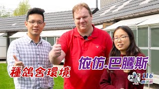 【Feeding and Manage#22】Professional breeding loft design - Baetens Ivan