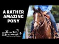 🔴 A RATHER AMAZING PONY (live-stream) // Versatile Horsemanship