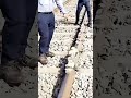 How Trains Deal with Obstacles on Tracks🚆