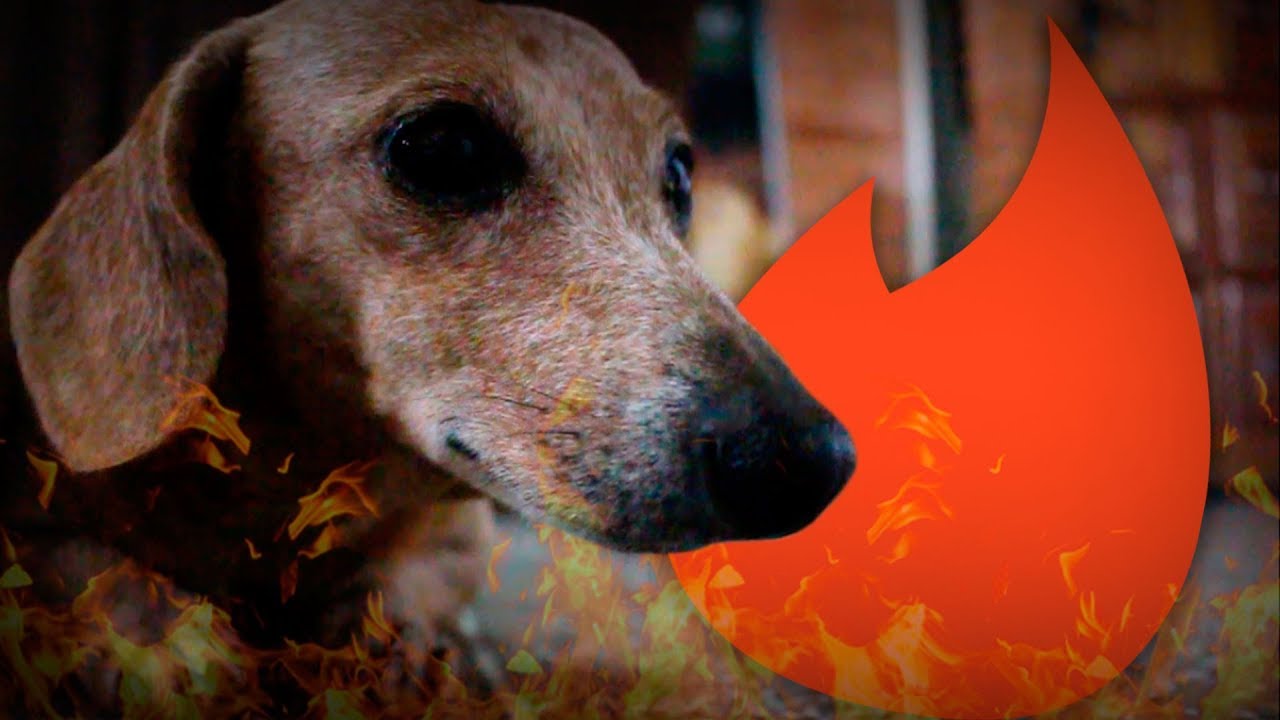 CAÇANDO UMAS CACHORRAS NO TINDER!