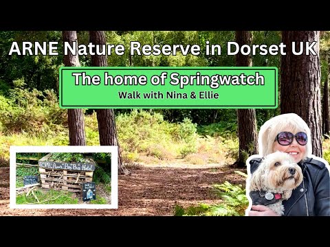 Visit to RSPB Arne Nature Reserve in Dorset UK