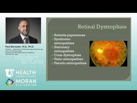 Video: Perifer Retinal Dystrofi