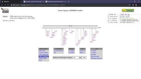Analysis of gene sequence to find out restriction enzyme