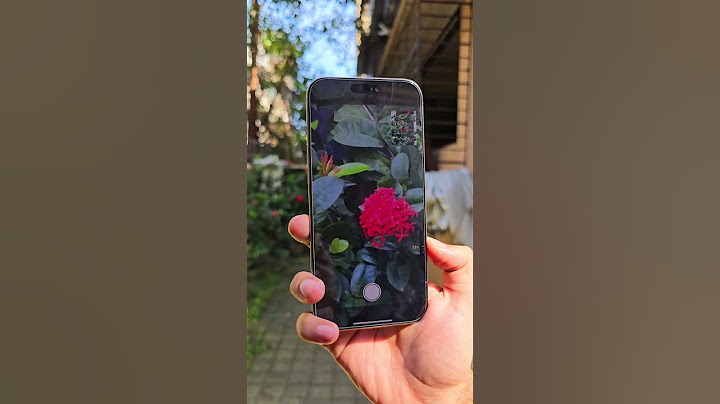 iPhone 16 Pro Max Camera Test 🔥