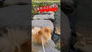 자동적사고 멈추기