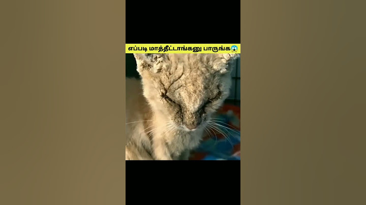 எப்படி மாத்திட்டாங்கனு பாருங்க 😱🤗 #shorts