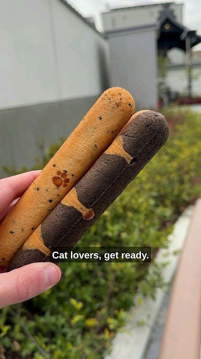 I tried Japan's 'cat donuts' so you don't have to