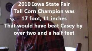 The Tall Corn King, Part I