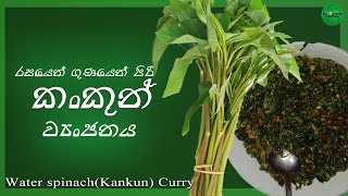 Water spinach (Kankun) Curry | කංකුං ව්‍යංජනය | Kankun Curry by Cooking Canvas