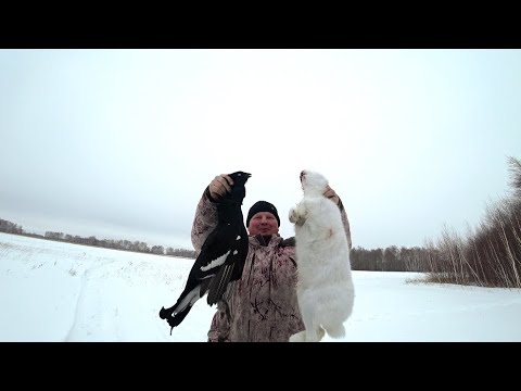 Чуть сердце в пятки не ушло, когда он вылетел.