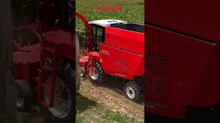 Premium Silage Production | Smooth &amp; Efficient | Precision Chopping Technology | Best-in-Class Maize