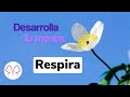 Meditacion diaria| 15 min | @DesarrollatumenteMEDITACION