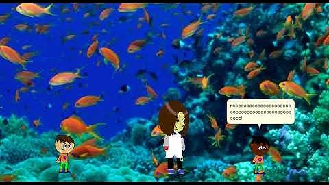 8th Ocean War on MsAgent