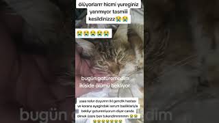 Ölmek Uzere Iki Cannn Genclik Hastası Bugün Goturemedim Nolur Destek Olun Ben Tukendimm😭😭😭