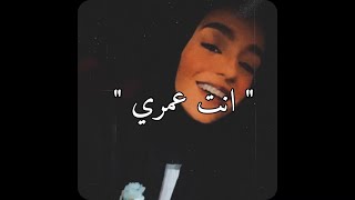 انت عمري ( قبل ماتشوفك عنيه )  | زينة عماد 🤍