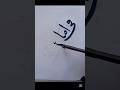 fii amanillah arabic calligraphy #shorts
