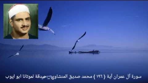 لا يغرنك تقلب الذين كفروا في البلاد _ سورة آل عمران آية { ١٩٦ } المنشاوي