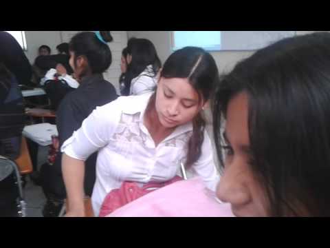 Un bullon de