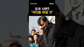[돌zip] 조국 사면? &quot;국민들 화낼 것&quot; #채널A #shorts #김진의돌직구쇼 #김진