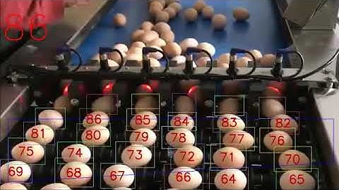 Egg counter on the conveyor using a conventional camera (Подсчет яиц при помощи обычной камеры)
