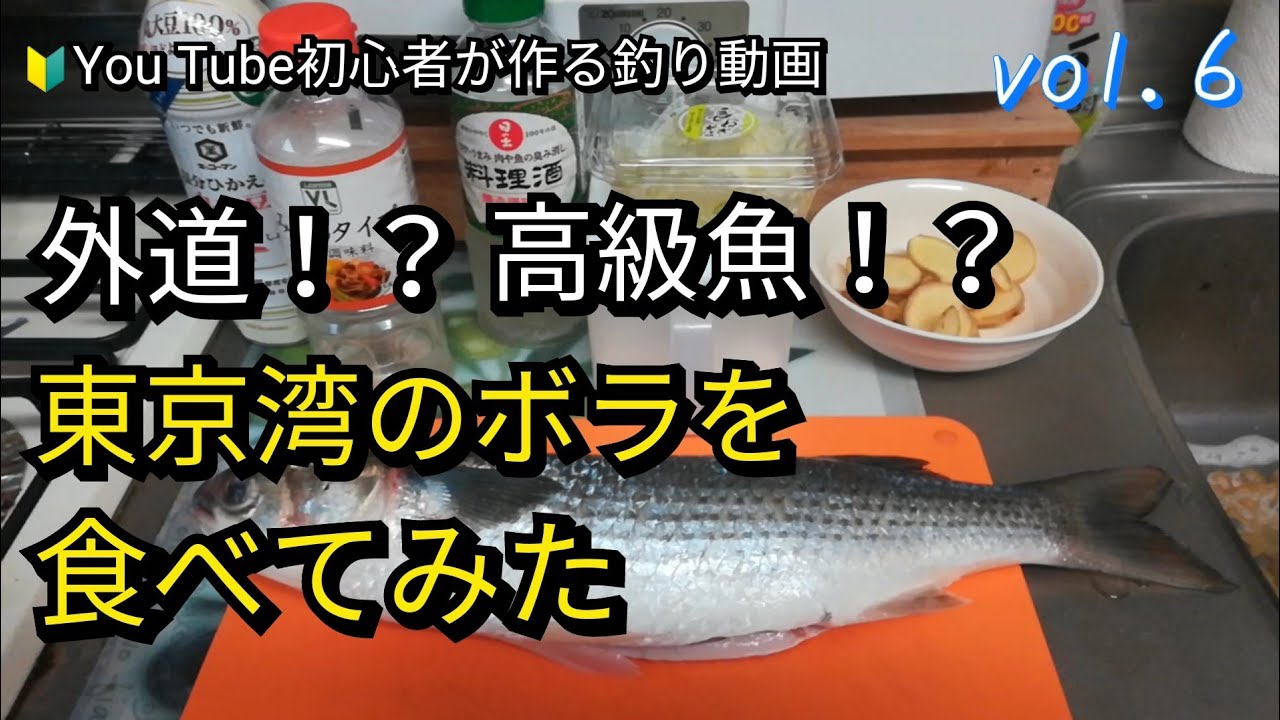 釣ったボラを食べてみた ボラは外道で臭い魚 東京湾で釣ったボラが予想以上に美味だった Youtube