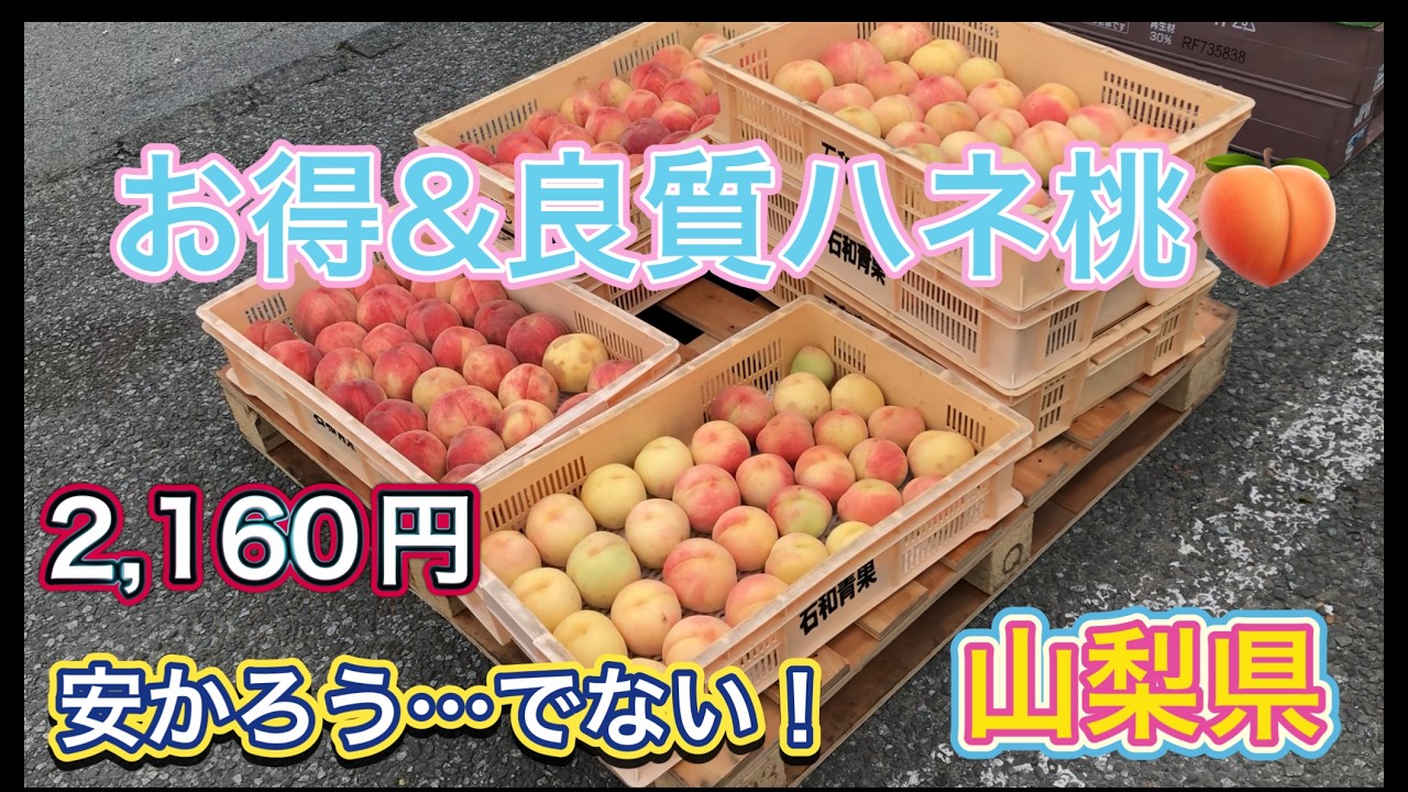 お得な桃を求めて山梨県⑥ 穴場発見！お得＆良質なハネ桃を買える店舗