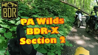 PA Wilds BDRX Section 2