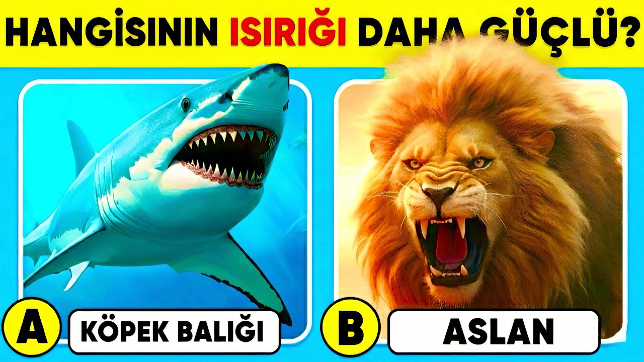 🧠 HAYVANLAR Hakkında Ne Kadar Bilginiz Var? 🐯🦁✅ Genel Bilgi Yarışma Testi