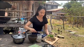 Catching frogs @ night to make stew เดินทางไกลตอนกลางคืนเพื่ออาหารแช่บของครอบครัว