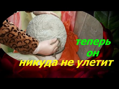 Если Хотите УДИВИТЬ