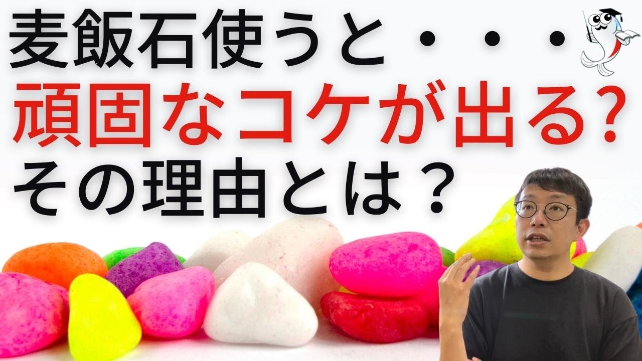 衝撃 麦飯石を入れたら水草育成が困難となる理由 Youtube