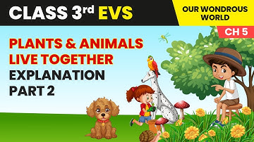 Plants and Animals Live Together - Explanation (Part 2) | Class 3 Environmental Studies Ch 5 | CBSE