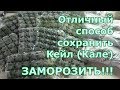 Заготовки на зиму из листовой капусты Кале (Кейл). Заморозка сока и листьев