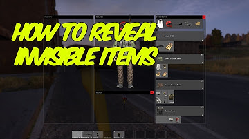 How To Reveal invisible items - DayZ Standalone