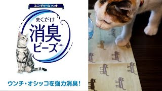 【トイレの匂い強力消臭！】子ネコのミーちゃんの愛用グッズ紹介　ユニ・チャームペット消臭ビーズ　ナチュラソープの香り