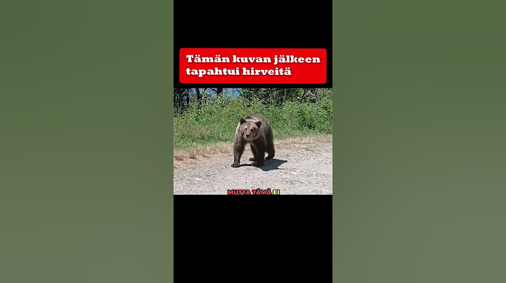 Tämän kuvan ottamisen jälkeen tapahtui hirveitä 💀