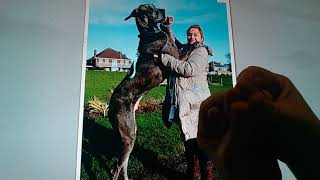 Horacio the handsnake - Freddy the Great Dane