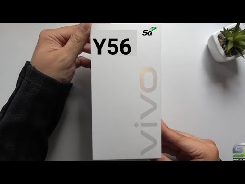 Vivo Y56 5G Launched In India 2023