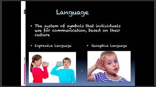 Preschool Language Development
