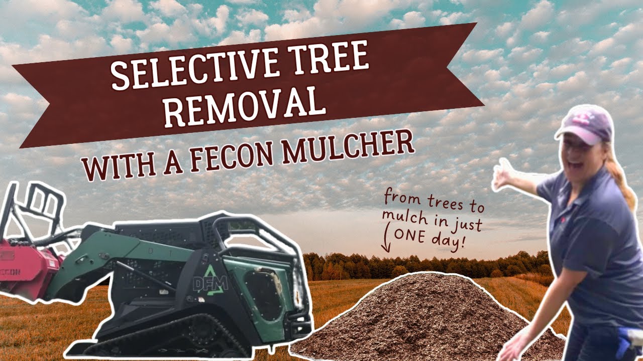 Fecon Mulcher in Action: Fast & Easy Selective Tree Removal! - YouTube