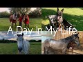 Day In My Life | New Barn Edition